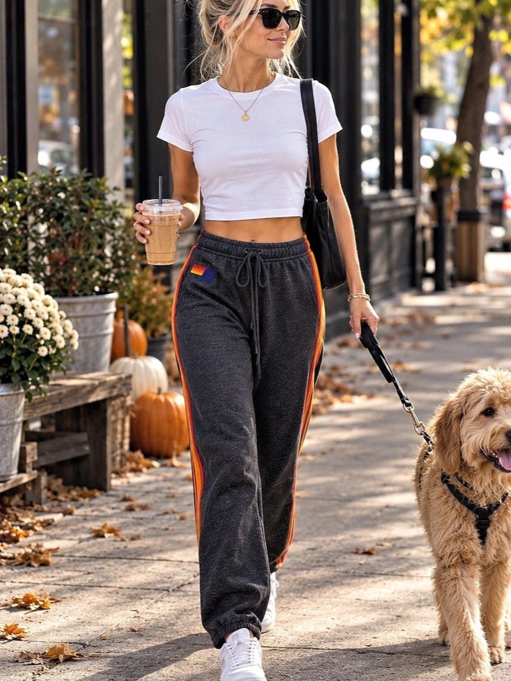 Aviator Nation 4 Stripe Sweatpants - Charcoal Track Pants